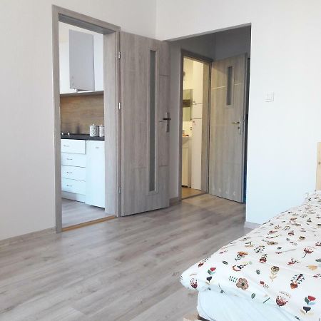 Stary Toruń Apartament Check Inn מראה חיצוני תמונה